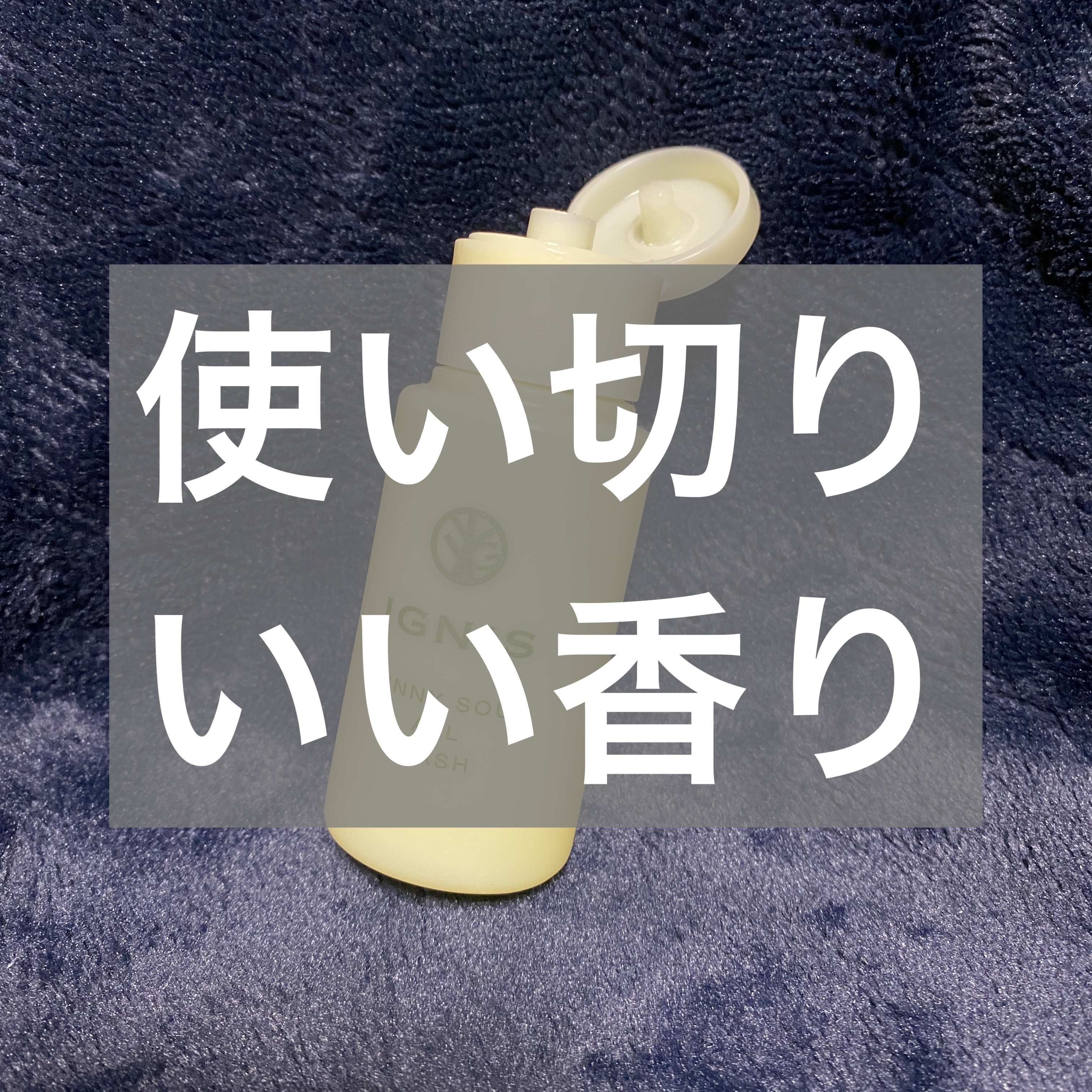 サニーサワー オールウォッシュ/IGNIS/ボディソープを使ったクチコミ（1枚目）