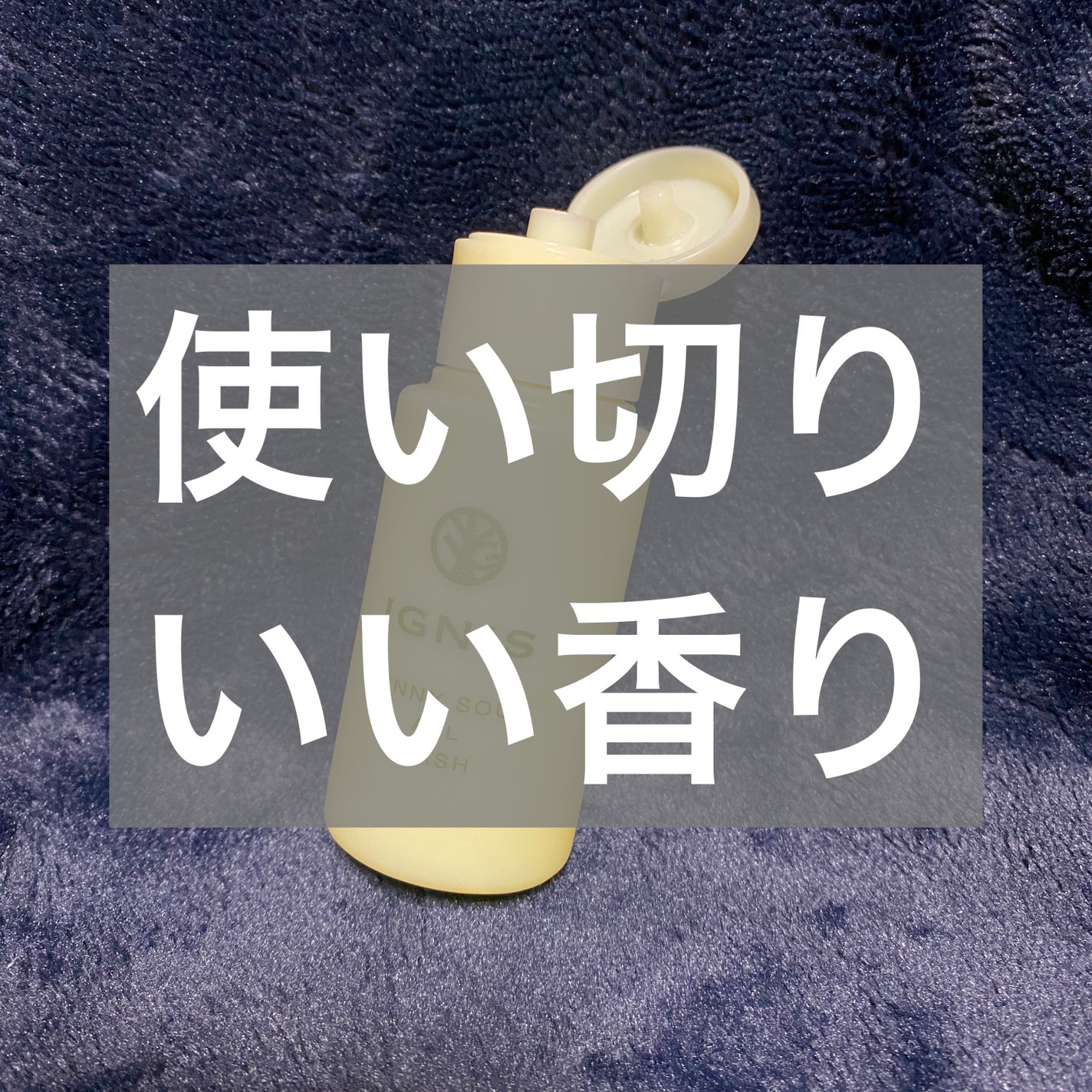 サニーサワー オールウォッシュ/IGNIS/ボディソープを使ったクチコミ(1枚目)