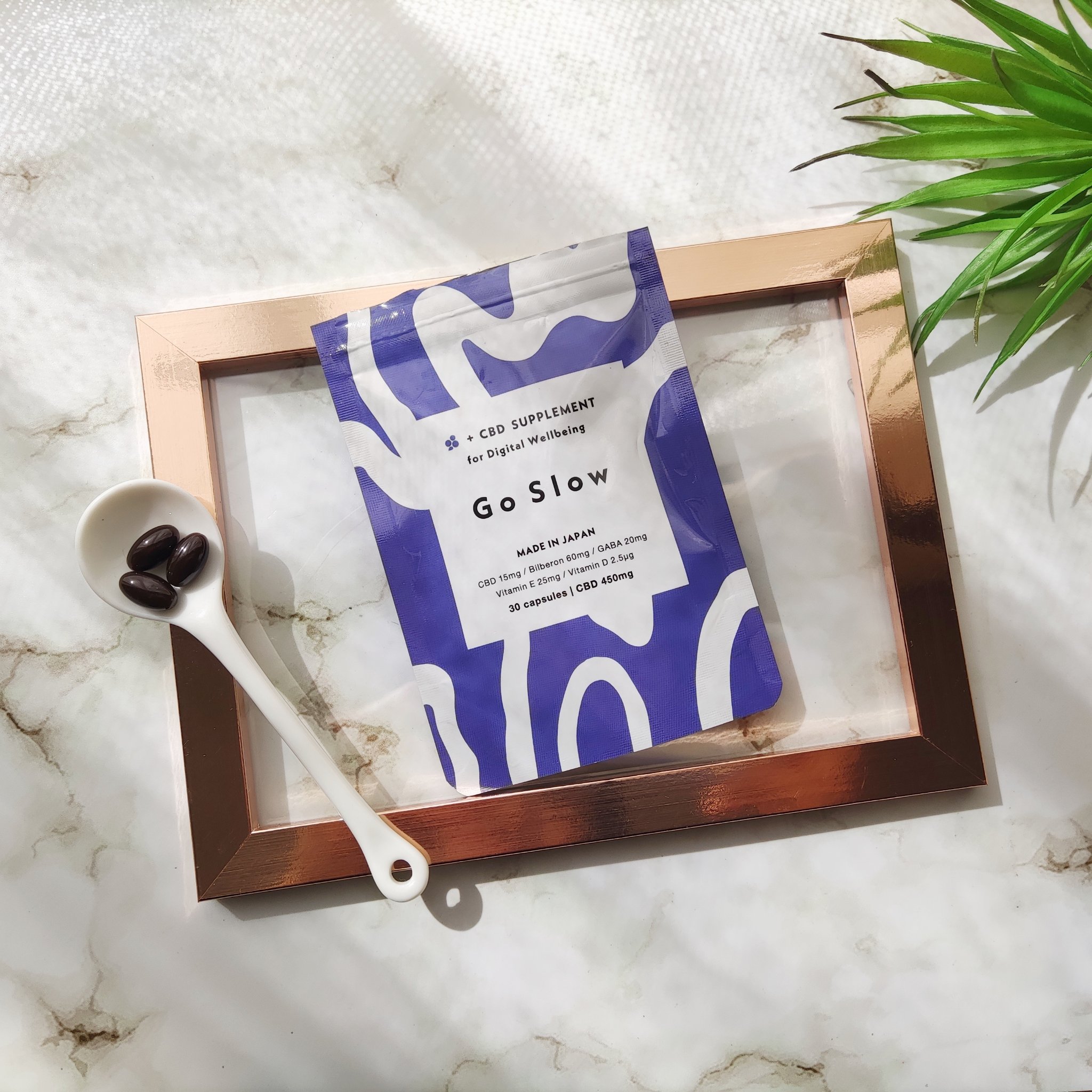 CBDサプリメント for デジタルウェルビーイング/Go Slow/健康サプリメントを使ったクチコミ（1枚目）