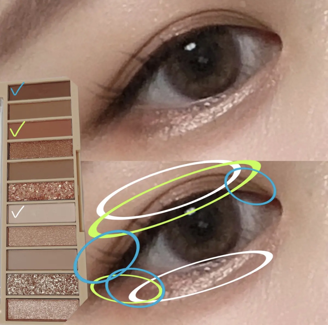 アイシャドウパレット/coou/アイシャドウパレットを使ったクチコミ（2枚目）