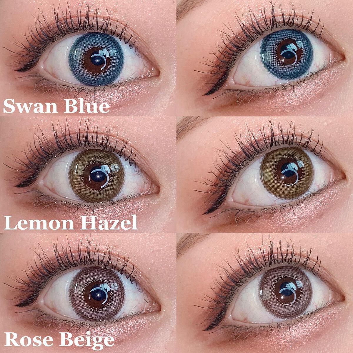 Angelcolor Bambi Series 1day /AngelColor/ワンデー(1DAY)カラコンを使ったクチコミ(3枚目)