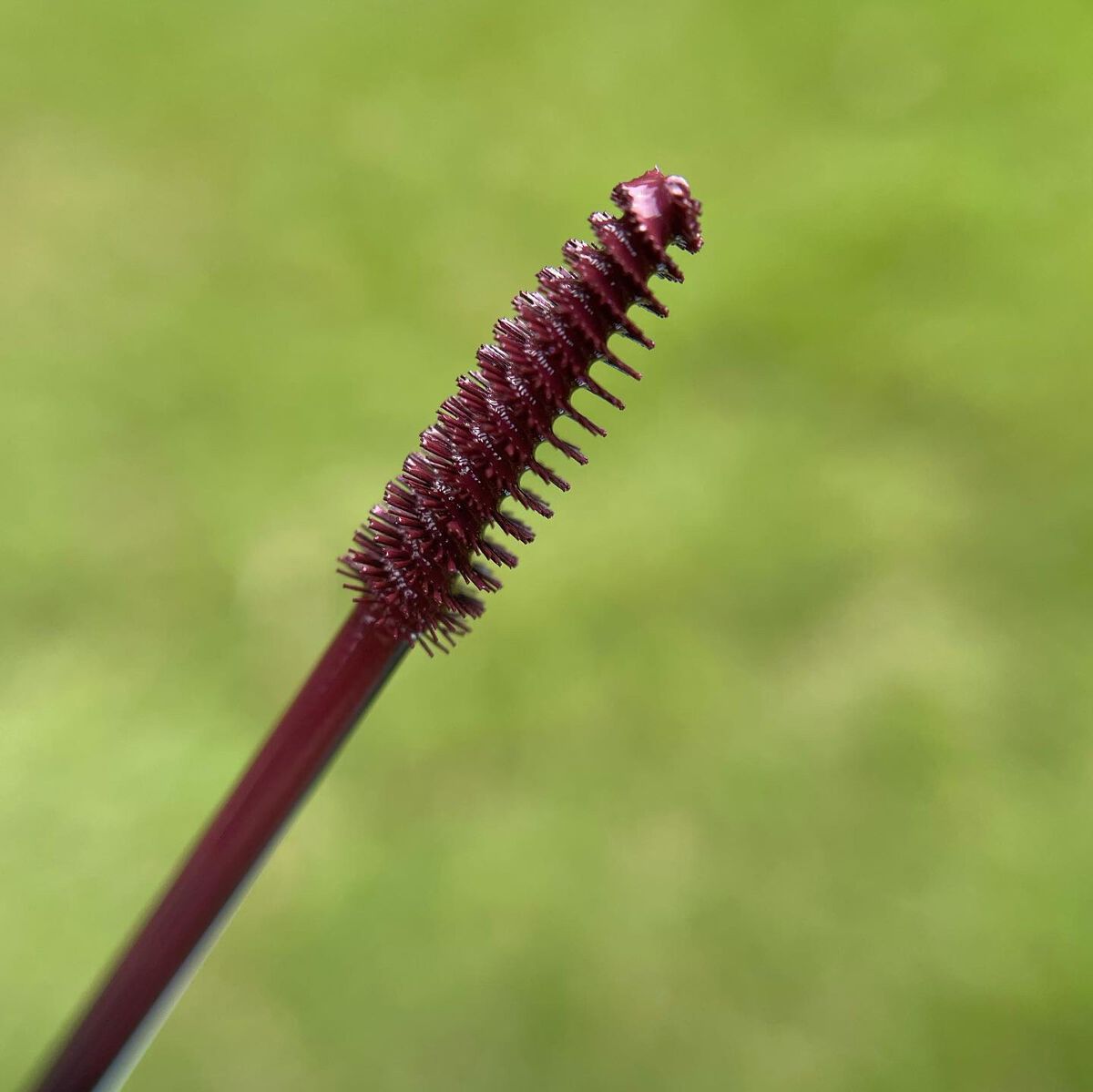 スマートミニアイブロウカラー/キャンメイク/眉マスカラを使ったクチコミ（3枚目）