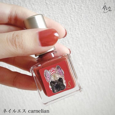 ネイルエス carnelian/ nail S(ネイルエス) /マニキュアを使ったクチコミ（2枚目）