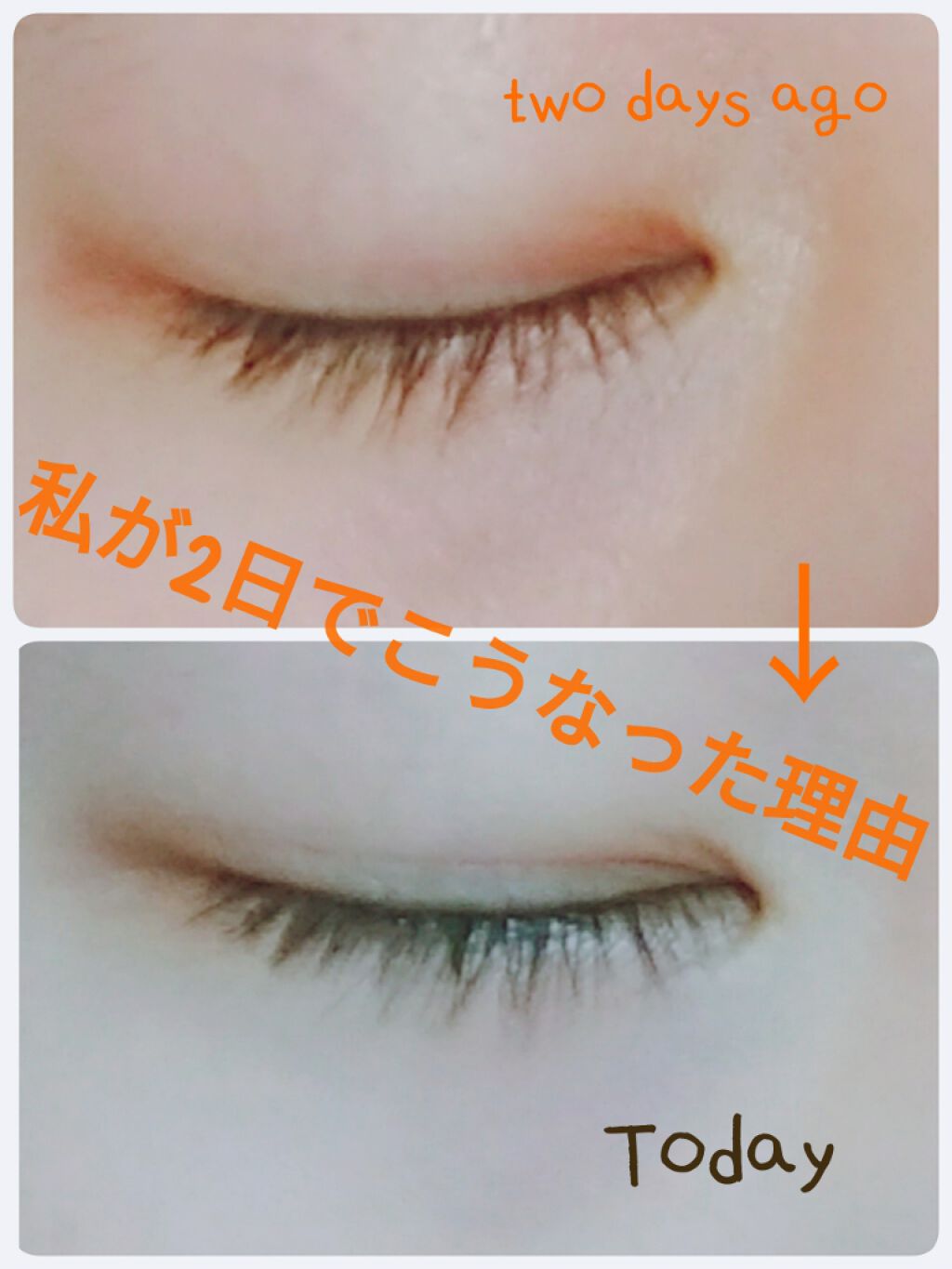 ラッシュジェリードロップ　ＥＸ/MAJOLICA MAJORCA/まつげ美容液を使ったクチコミ（1枚目）