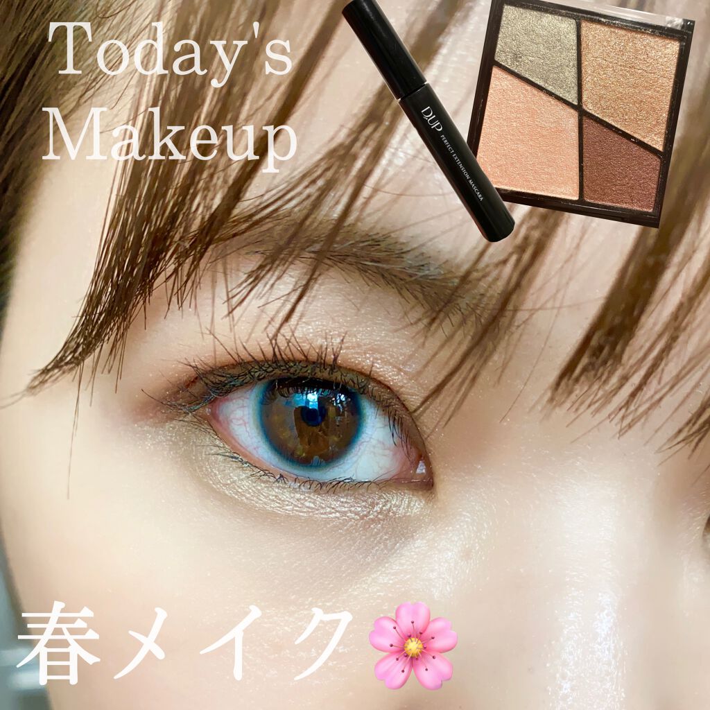 【旧品】パーフェクトエクステンション マスカラ/D-UP/マスカラを使ったクチコミ（1枚目）