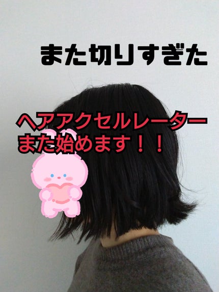 ヘアアクセルレーターEX フローラルアップルの香り/加美乃素本舗/頭皮ローションを使ったクチコミ(1枚目)