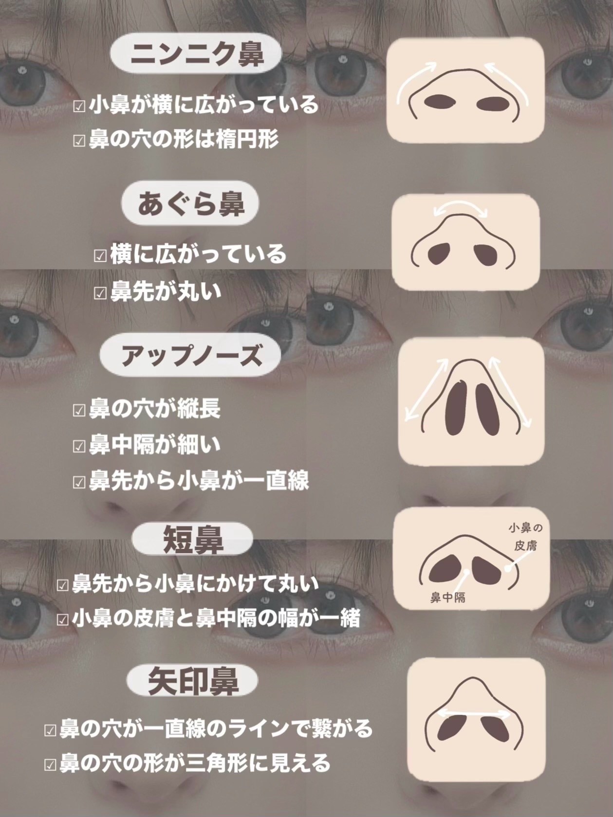 シェーディング パウダー /ちふれ/シェーディングを使ったクチコミ（2枚目）