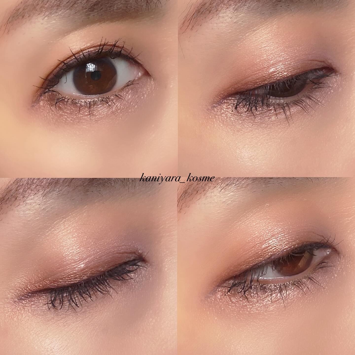 エレガンス クラルテ ルージュ ビジュー 101/Elégance/口紅を使ったクチコミ（3枚目）