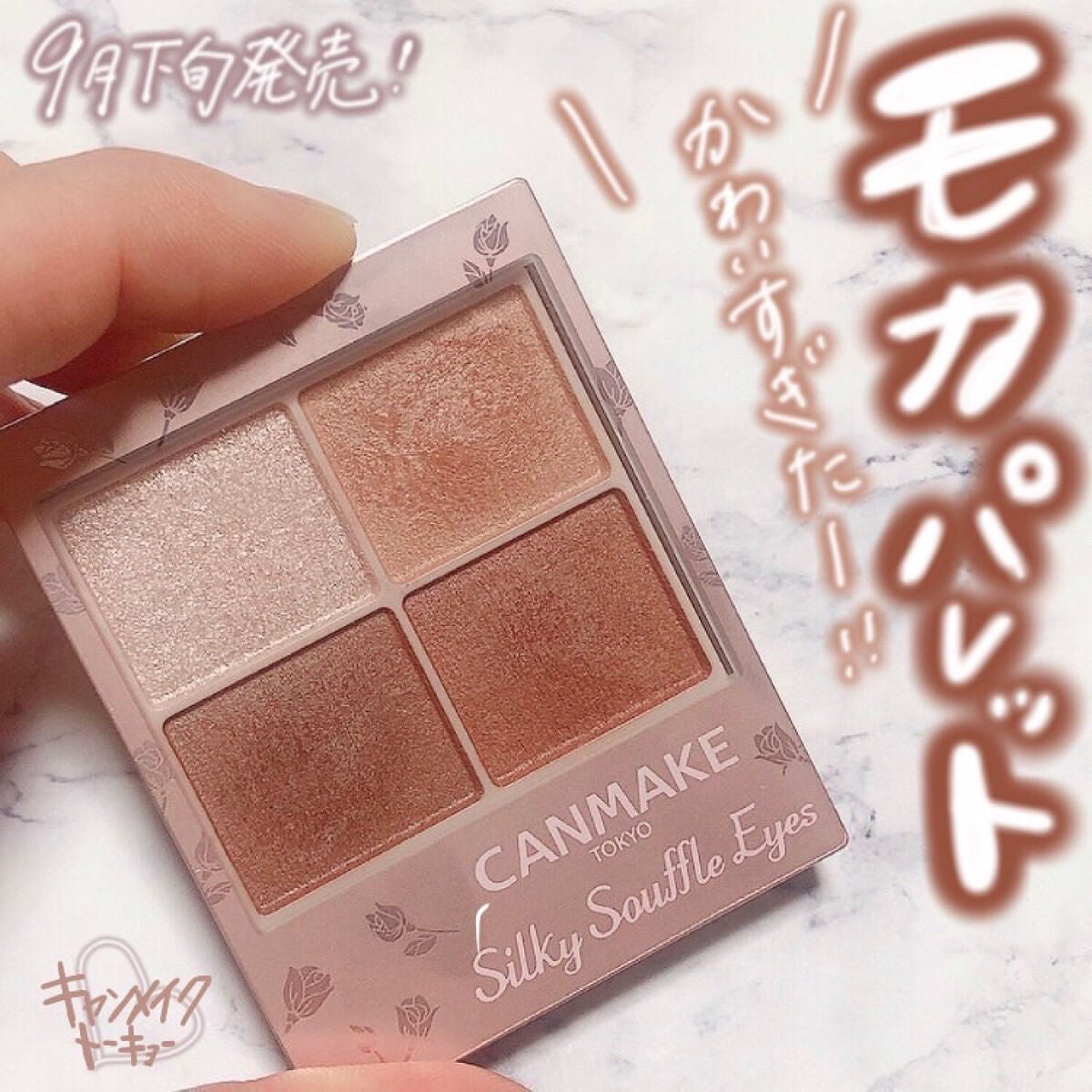 シルキースフレアイズ(マットタイプ)/キャンメイク/アイシャドウパレットを使ったクチコミ(1枚目)