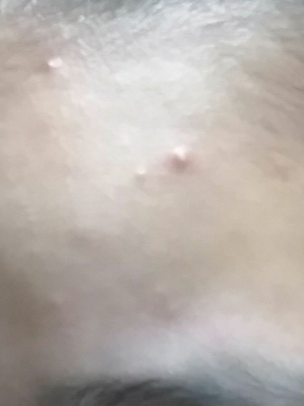 CICA リッチクリーム D/DAISO/フェイスクリームを使ったクチコミ(3枚目)