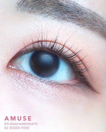アイ ヴィーガン シアーパレット/AMUSE/アイシャドウパレットを使ったクチコミ(3枚目)