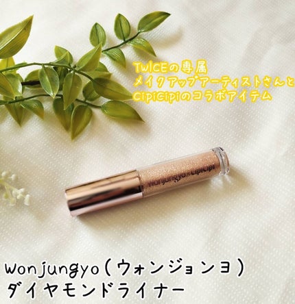 ウォンジョンヨ ダイヤモンドライナー/Wonjungyo/リキッドアイシャドウを使ったクチコミ(1枚目)