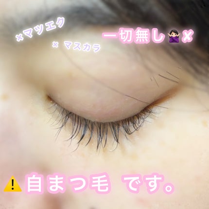 ラッシュルーティーン/キャンメイク/まつげ美容液を使ったクチコミ(1枚目)