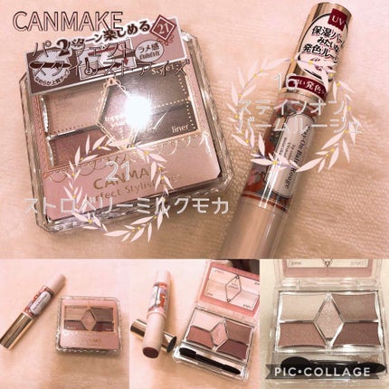 ステイオンバームルージュ/キャンメイク/口紅を使ったクチコミ(1枚目)