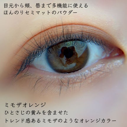 ミネラルマルチパウダー/エトヴォス/単色アイシャドウを使ったクチコミ(2枚目)