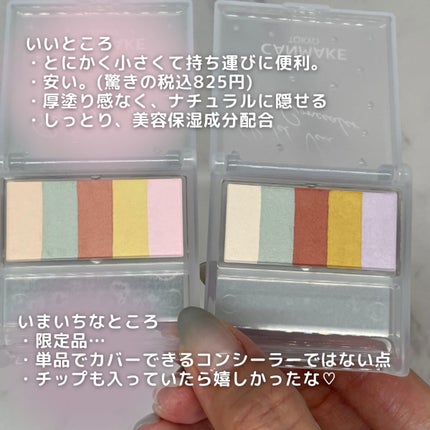 パステルヴェールコンシーラー/キャンメイク/パレットコンシーラーを使ったクチコミ(8枚目)
