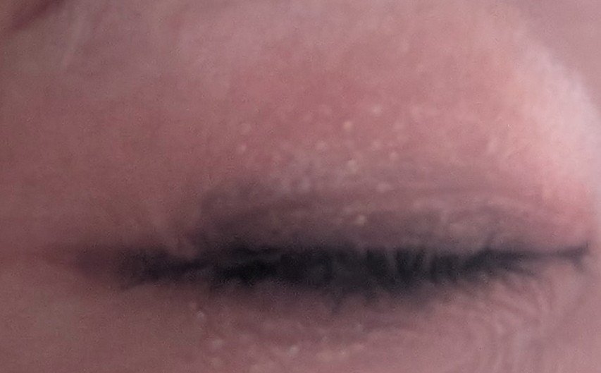 カラーパターンパレット/i’m meme/マルチパレットを使ったクチコミ（3枚目）