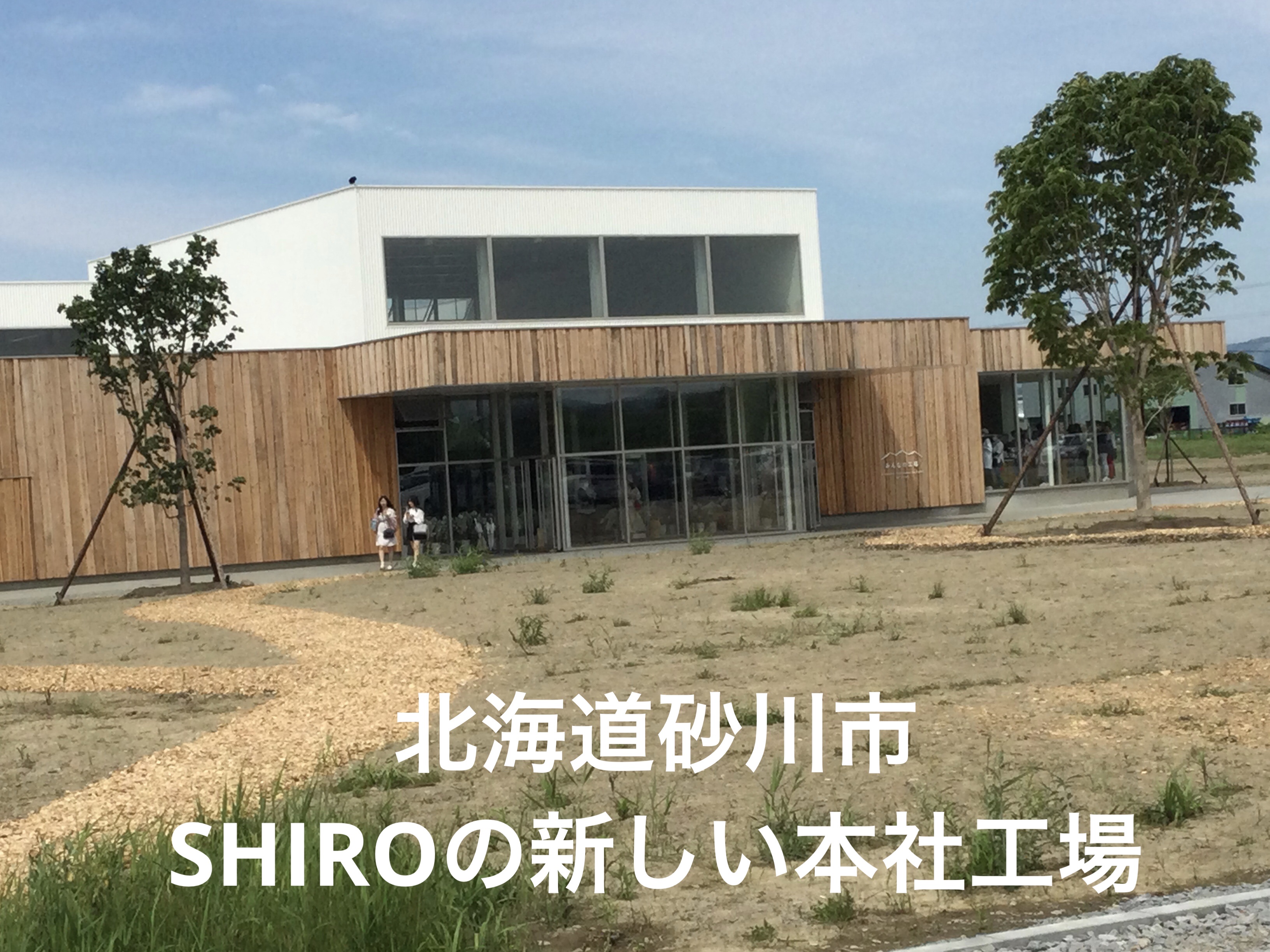 酒かす石けん/SHIRO/ボディ石鹸を使ったクチコミ（3枚目）