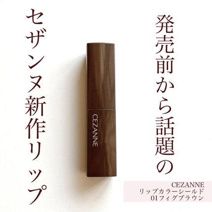 リップカラーシールド/CEZANNE/口紅を使ったクチコミ(1枚目)