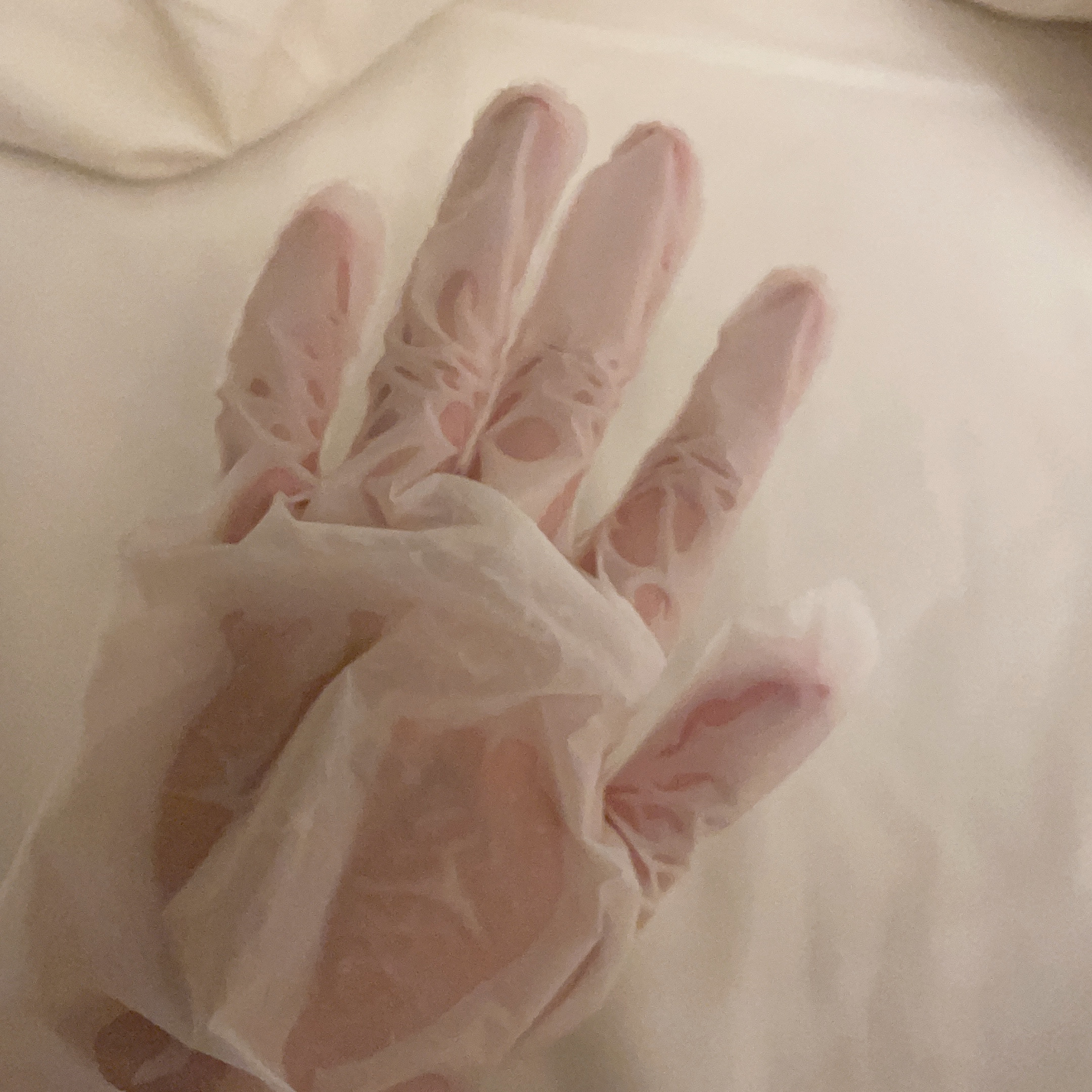 エオラ ハンドパック ローズ /EORA/ハンドクリームを使ったクチコミ（2枚目）