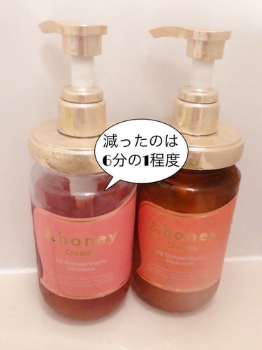 Creamy EXダメージリペアシャンプー1.0/ヘアトリートメント2.0/&honey/シャンプー・コンディショナーを使ったクチコミ（2枚目）