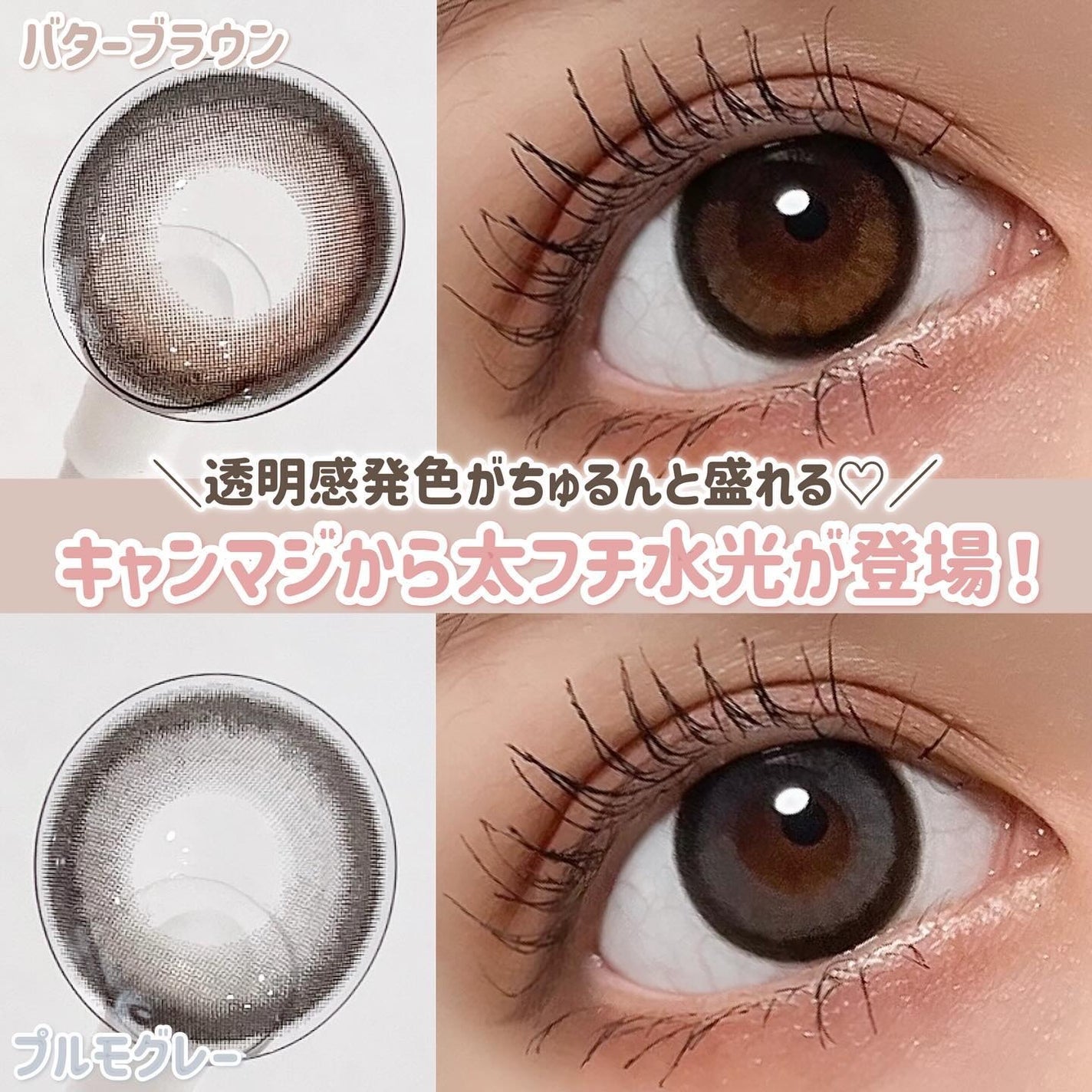 secretcandymagic 1day(シークレットキャンディーマジック)/secret candymagic/ワンデー(1DAY)カラコンを使ったクチコミ(1枚目)