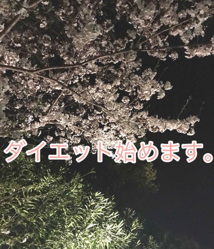 ラスティングモイスチャー アロマミルク/ジョンソンボディケア/ボディミルクを使ったクチコミ(1枚目)