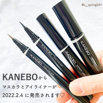 セパレートロングラッシュCC/KANEBO/マスカラを使ったクチコミ(2枚目)