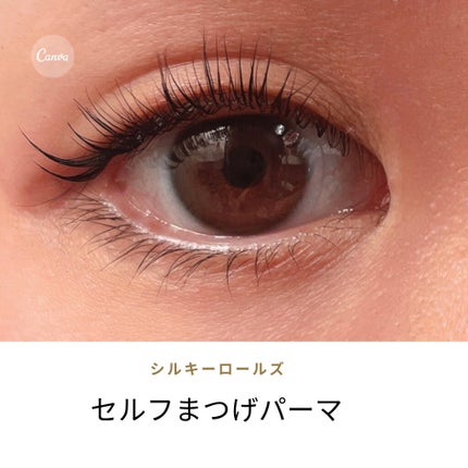 ã»ã«ããŸã€æ¯ããŒãããã/ã·ã«ããŒããŒã«ãº/ãã®ä»ãããã»ããã䜿ã£ãã¯ãã³ãïŒ1æç®ïŒ