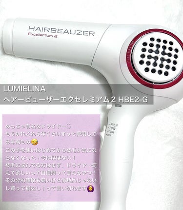 ヘアービューザーエクセレミアム2 HBE2-G/LUMIELINA/ドライヤーを使ったクチコミ（4枚目）