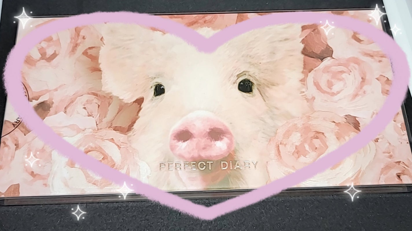 エクスプローラ12色 動物アイシャドウパレット/PERFECT DIARY/アイシャドウパレットを使ったクチコミ(1枚目)