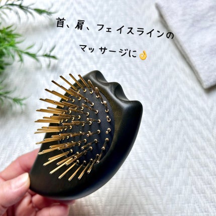 プレミアム FOX カッサ ゴースト ヘアブラシ ブラック/SNOW FOX SKINCARE/ヘアブラシを使ったクチコミ(4枚目)