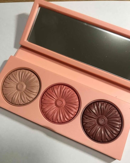 クリニーク チーク ポップ パレット 21/CLINIQUE/パウダーチークを使ったクチコミ(2枚目)