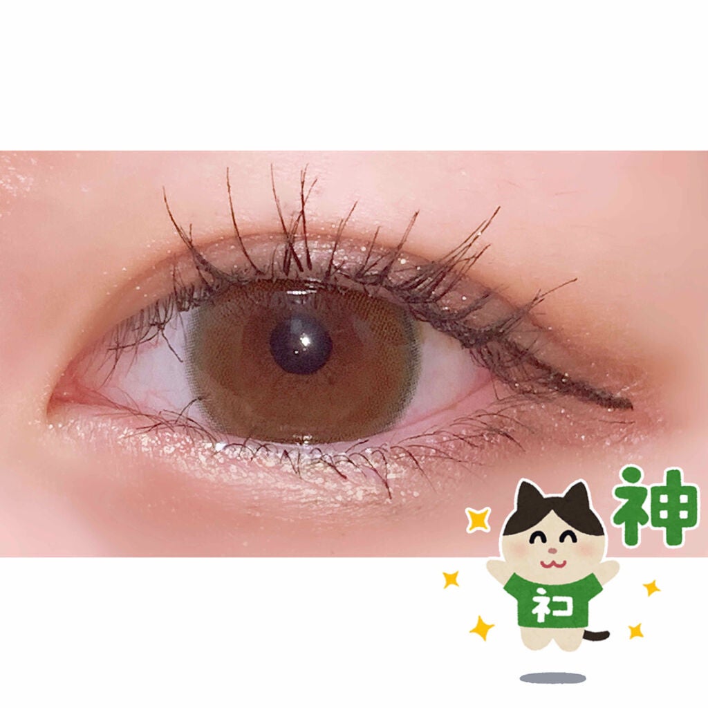 ラッシュキング/MAJOLICA MAJORCA/マスカラを使ったクチコミ(1枚目)