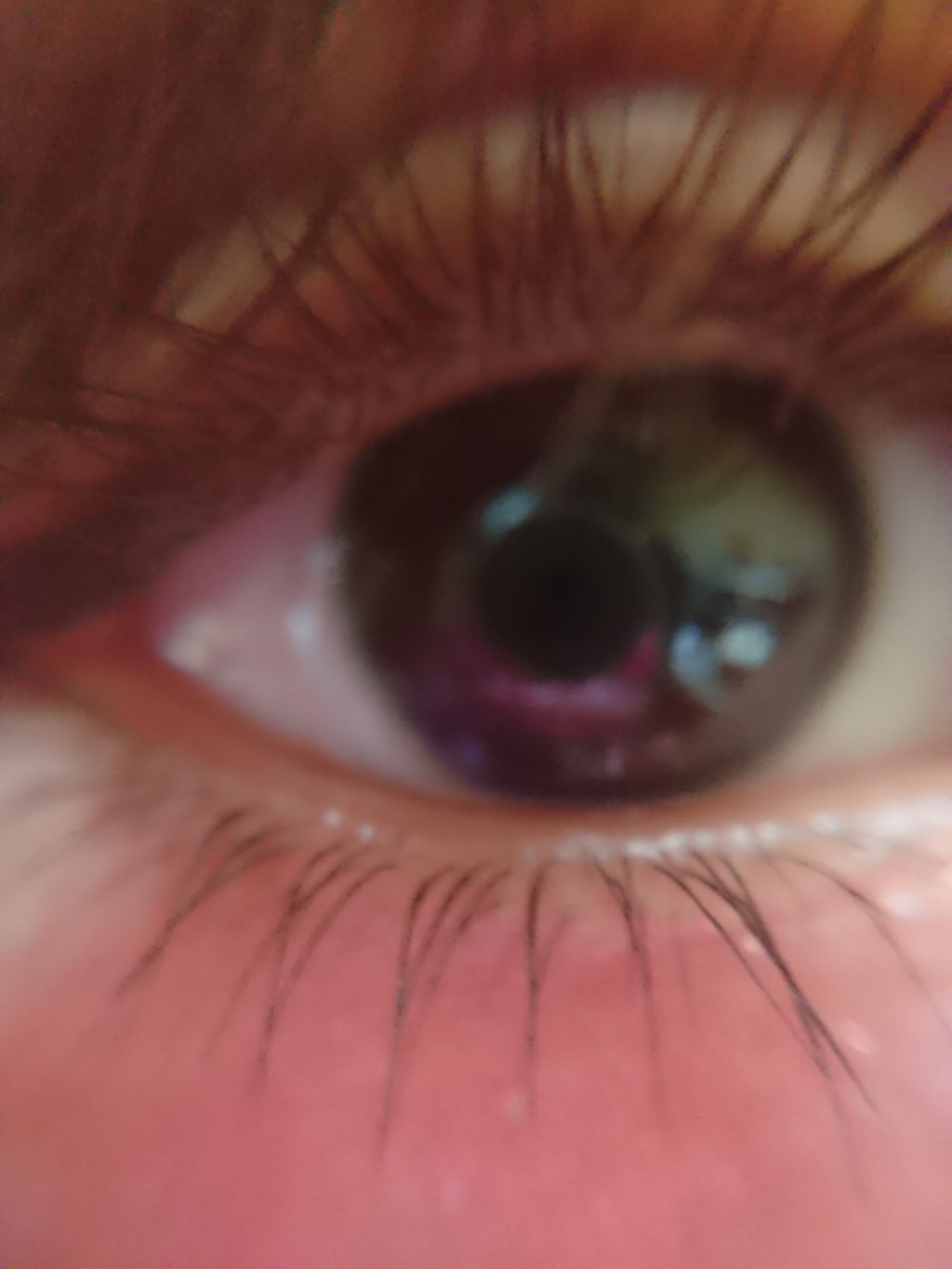 マクロレンズ/セリア/その他を使ったクチコミ（2枚目）