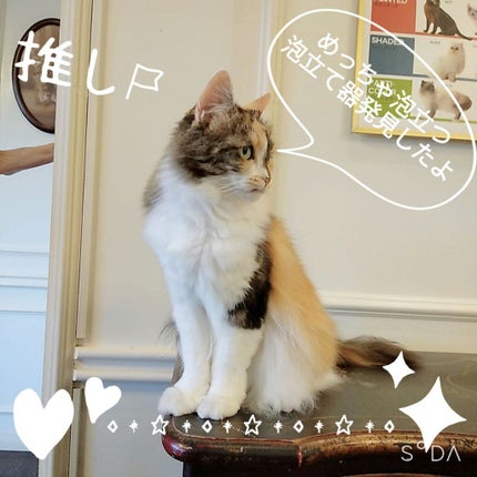 洗顔用泡立てネット/無印良品/その他スキンケアグッズを使ったクチコミ(1枚目)