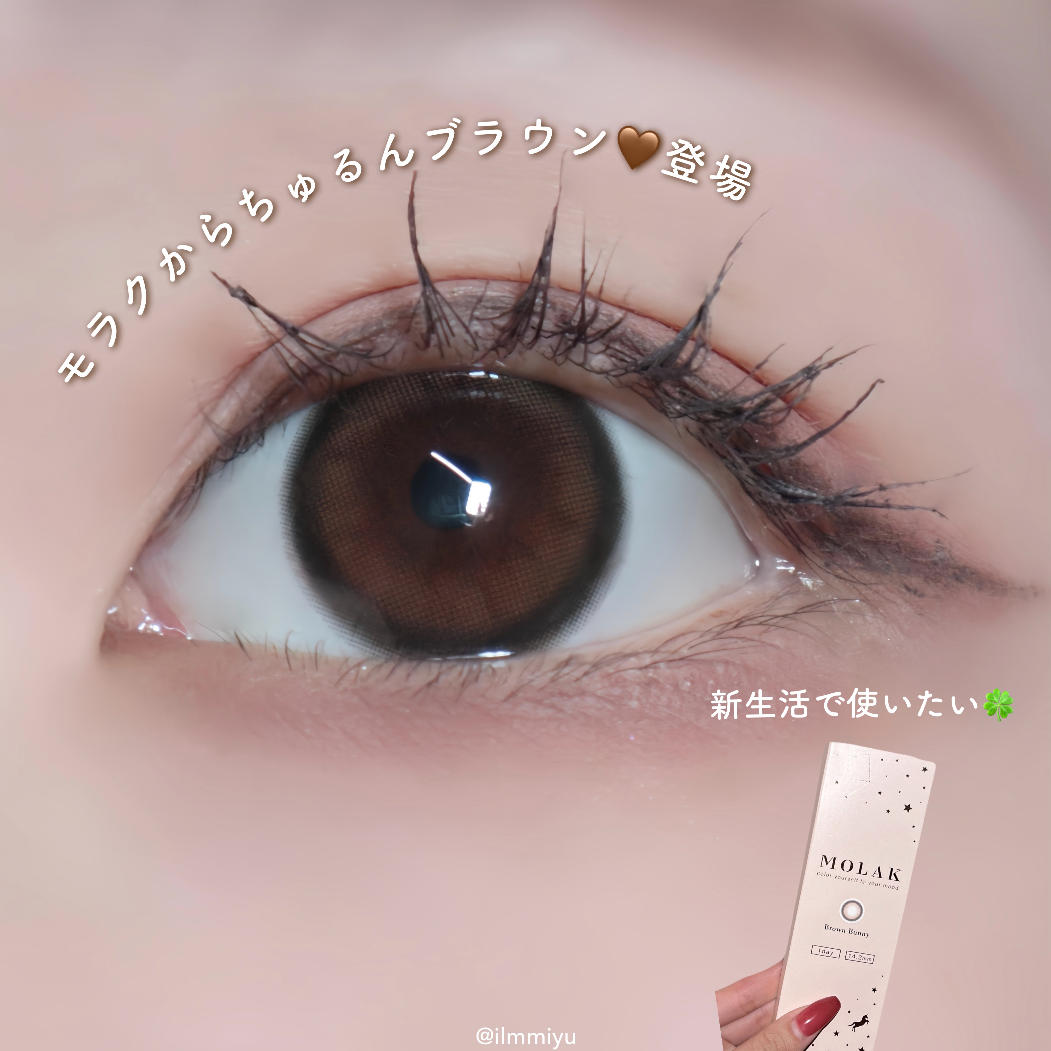 春メイクにぴったり🌸モラクから新色ブラウンカラコン🤎

【 𝗧𝘄𝗶𝘁𝘁𝗲𝗿・𝗬𝗼𝘂𝗧𝘂𝗯𝗲・𝗟𝗜𝗣𝗦 → @ilmmiyu 】

┈┈┈┈┈┈┈┈┈┈┈┈┈┈┈┈┈

提供： @molak_offic