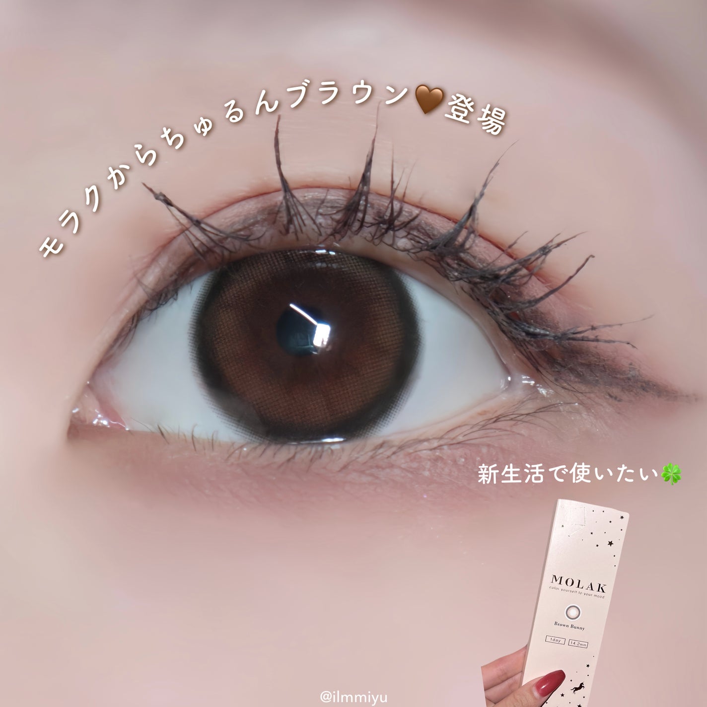 ミユ @ilmmiyu on LIPS 「春メイクにぴったり🌸モラクから新色ブラウンカラコン🤎【𝗧𝘄𝗶𝘁..」(1枚目)