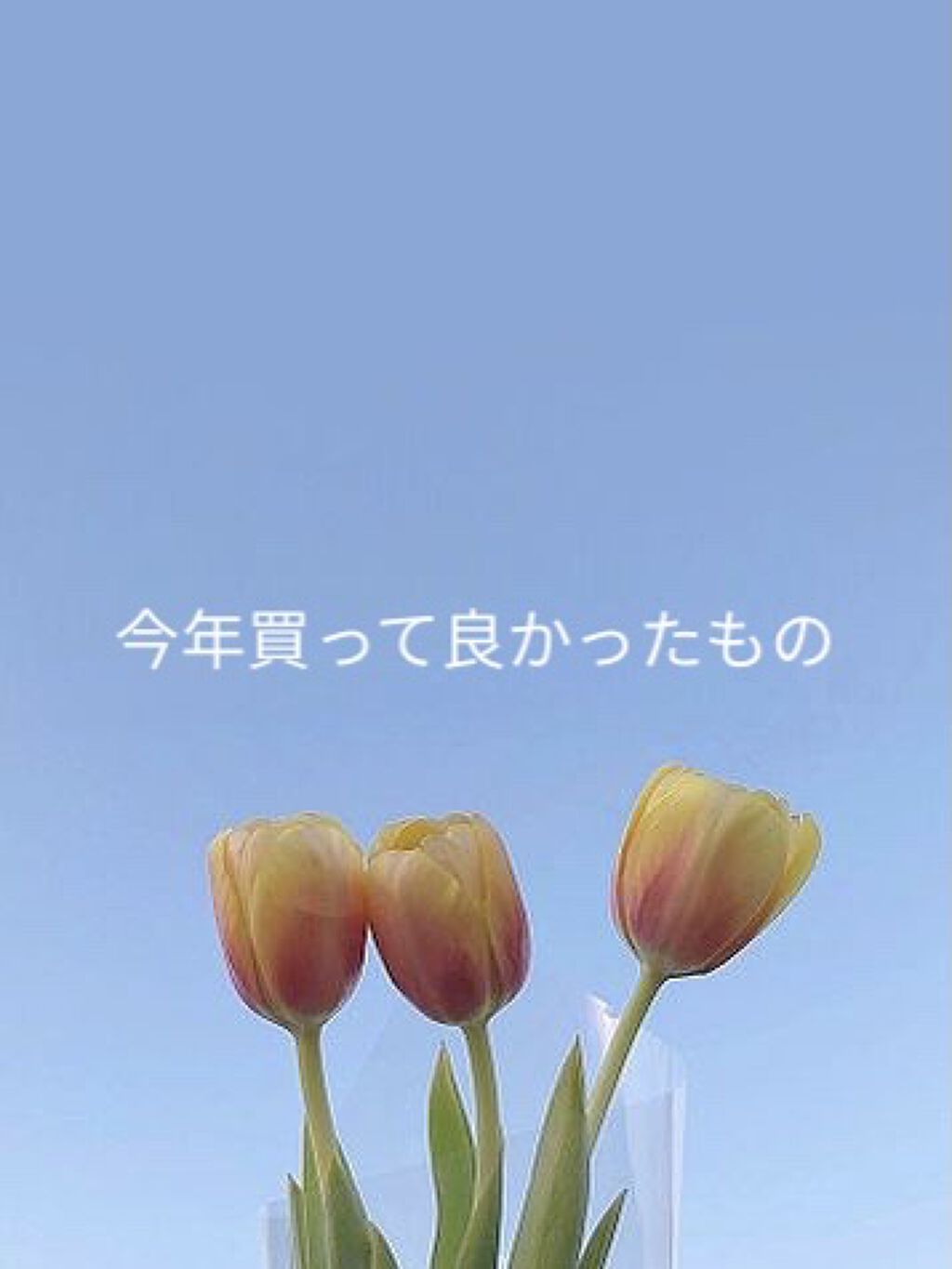 トリプルレシピアイズ/インテグレート/アイシャドウパレットを使ったクチコミ（1枚目）