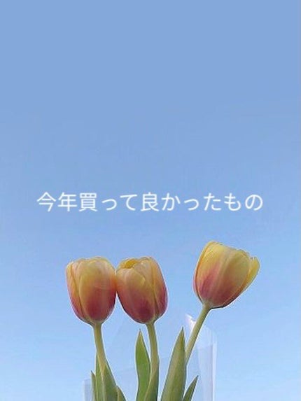 トリプルレシピアイズ/インテグレート/アイシャドウパレットを使ったクチコミ(1枚目)