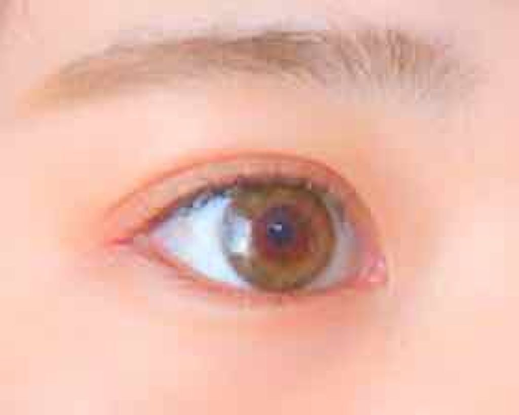 ReVIA 1day/ReVIA/ワンデー(1DAY)カラコンを使ったクチコミ(1枚目)