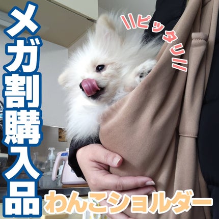 ã䜿ã£ãã¯ãã³ãïŒ1æç®ïŒ