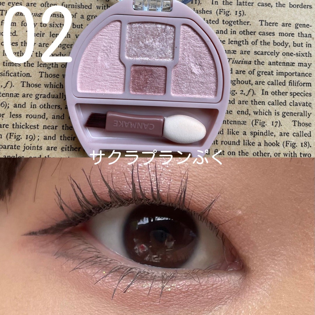 プランぷくコーデアイズ/キャンメイク/パウダーアイシャドウを使ったクチコミ(3枚目)