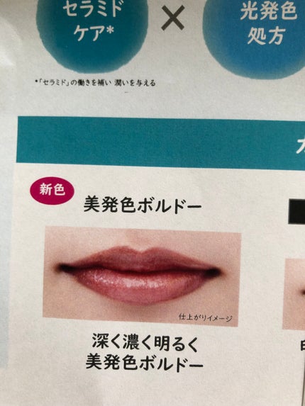 リップケア クリーム(美発色シリーズ)/キュレル/リップクリームを使ったクチコミ(3枚目)