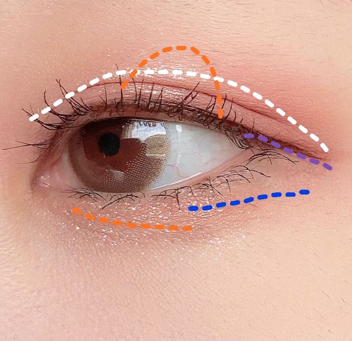 アイシャドウパレット/Kirei&co./アイシャドウパレットを使ったクチコミ(5枚目)