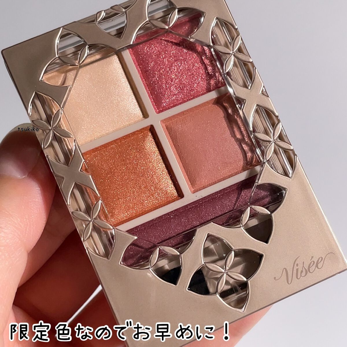 パノラマデザイン アイパレット/Visée/アイシャドウパレットを使ったクチコミ(6枚目)