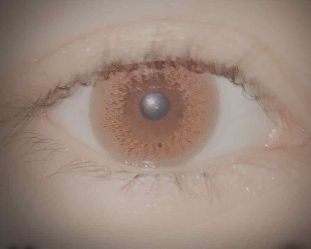 Victoria(ヴィクトリア)1day/Victoria/ワンデー(1DAY)カラコンを使ったクチコミ(3枚目)