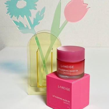 リップスリーピングマスク/LANEIGE/リップケア・リップクリームを使ったクチコミ（1枚目）