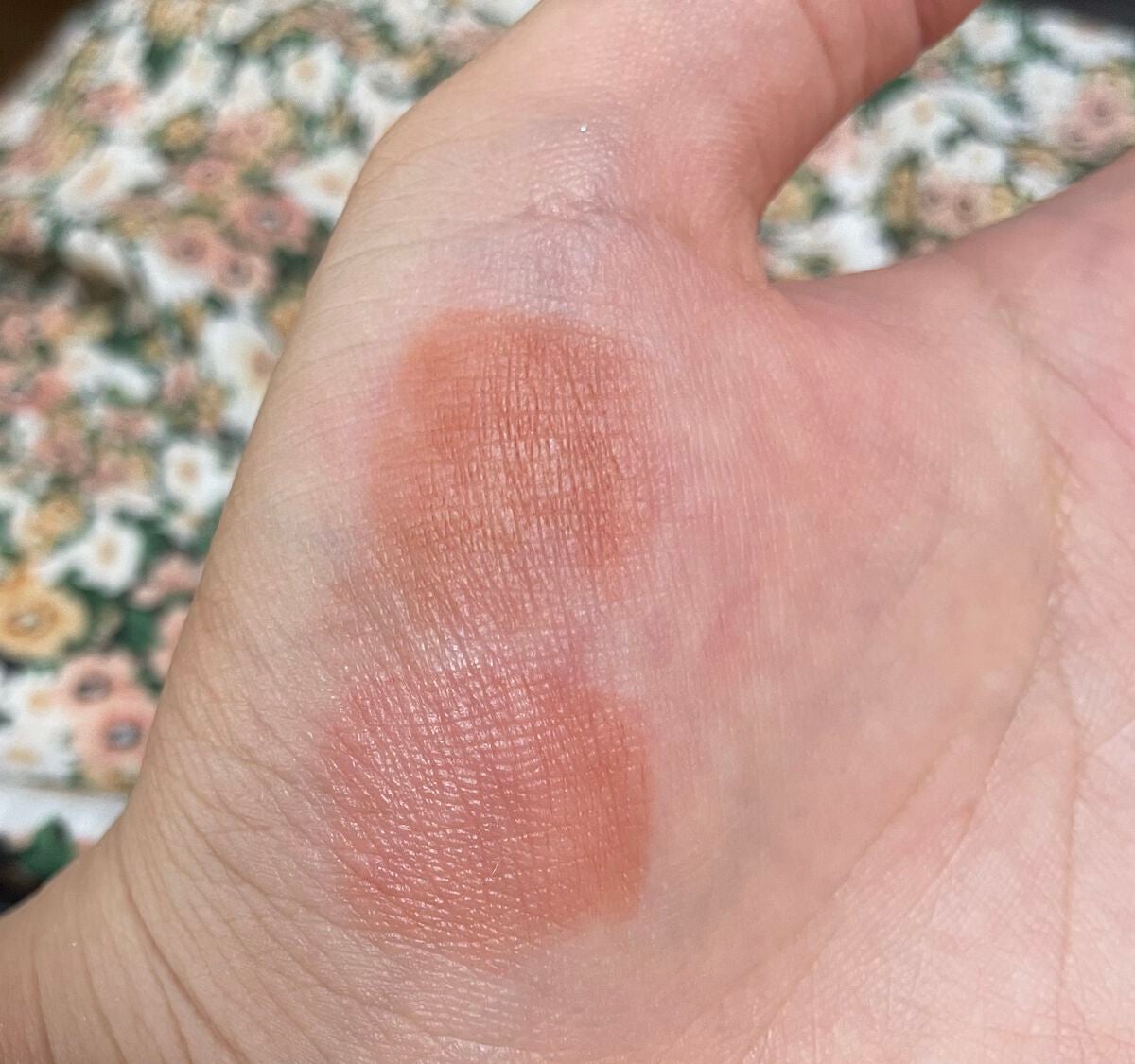 ラスティング リップカラーN/CEZANNE/口紅を使ったクチコミ(2枚目)