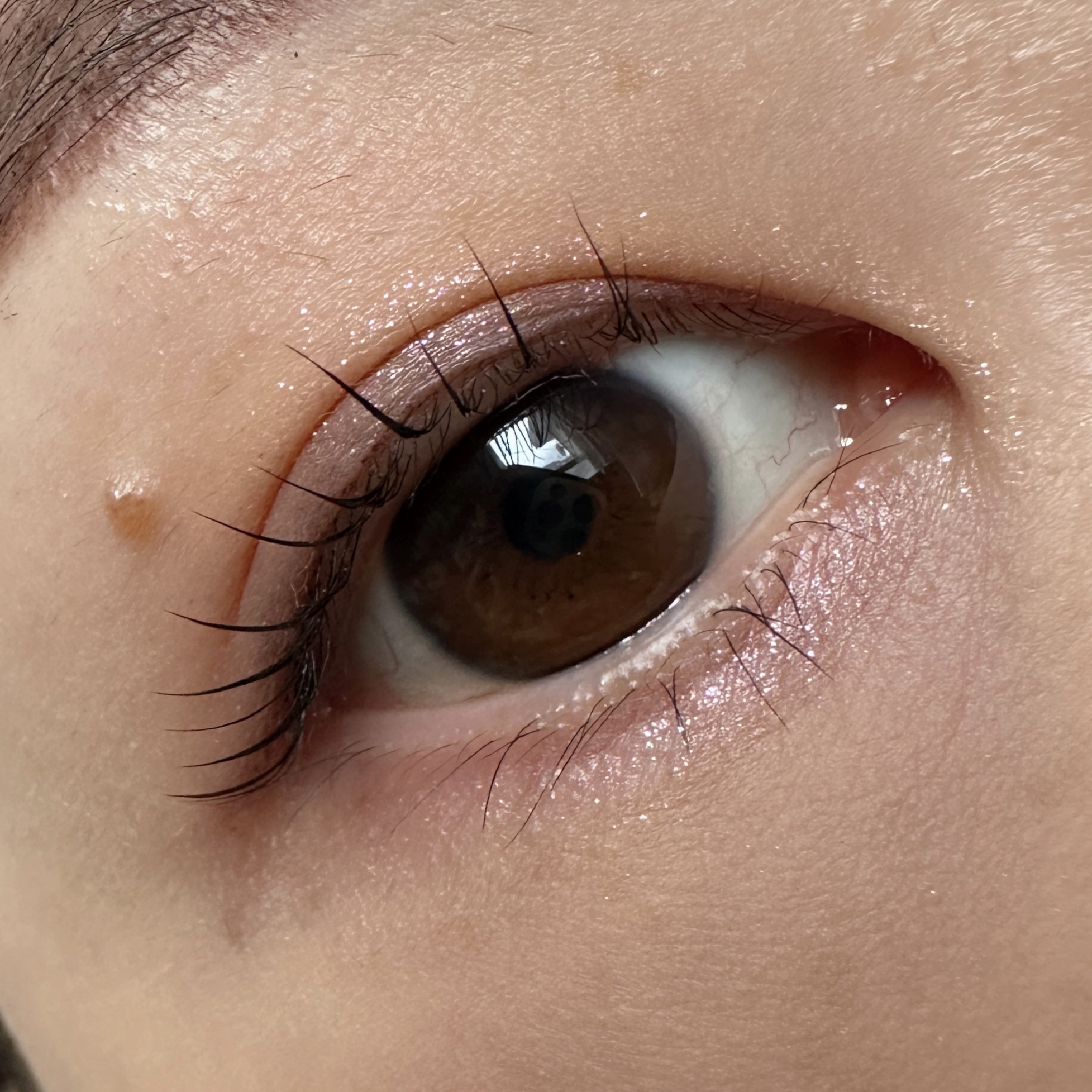 【旧】ディオールショウ サンク クルール（プラン ドゥ パリ コレクション限定品）/Dior/アイシャドウを使ったクチコミ（2枚目）